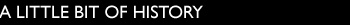 Company History